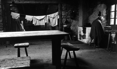 The Turin Horse