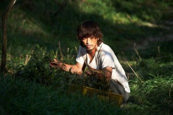 Castaway on the Moon