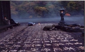 Spring Summer Fall Winter and Spring